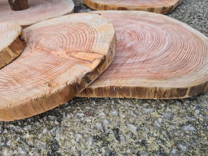 Bundle of log slice cake stands