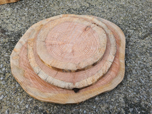 Bundle of log slice cake stands