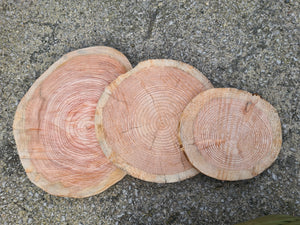 Bundle of log slice cake stands