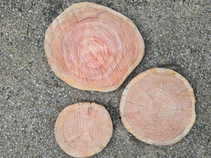 Bundle of log slice cake stands