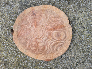 Bundle of log slice cake stands